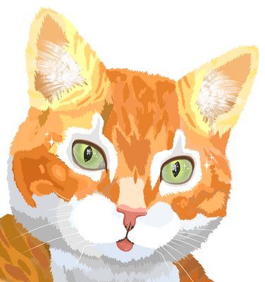 Boi Portrait